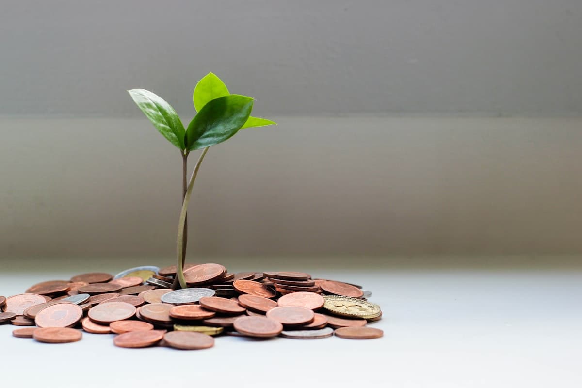 Personal Finance & Investment Planning